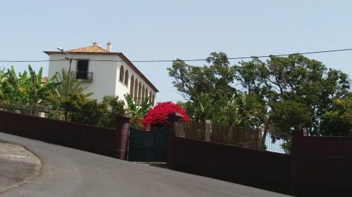 Apartamento Purple Studio