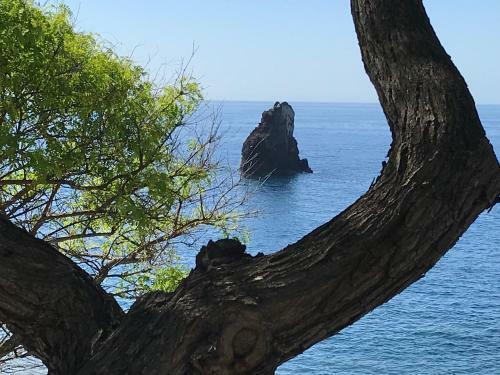 Apartamentos Do Mar Funchal