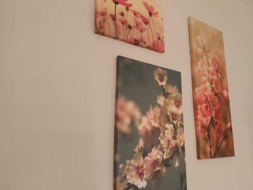 Apartamento Del Parque Flats Ancha Del Carmen
