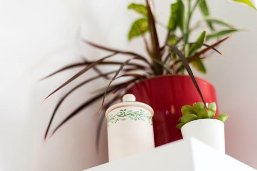 Apartamento Loft