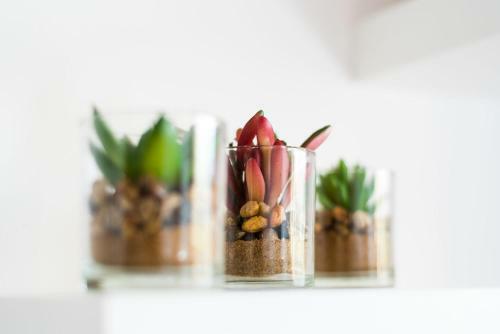 Apartamento Loft