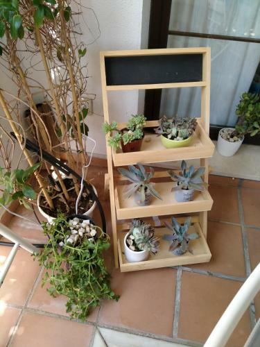 Charming 3-bed House 2 Big Pools And Herb Garden