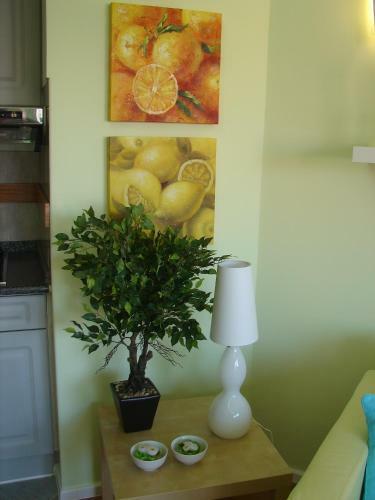 Apartamento Bright Studio