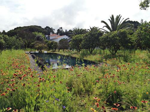 Hostal Quinta Do Miguel