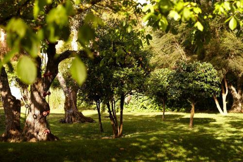 Hostal Quinta Do Miguel