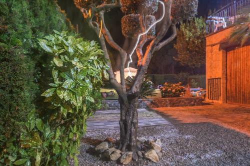 Club Villamar - Aygo