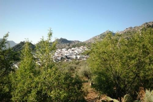 Impeccable 3-bed House In Montejaque Near Ronda