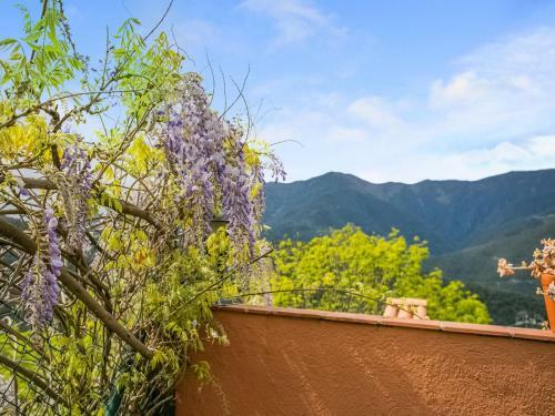 Alluring Apartment In Malmedy National Park, Montseny