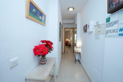 Apartamento Jardines de Burriana 13 Menyber