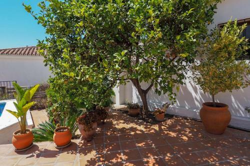 Villa Nerja Paradise Rentals - Casa Del Barranco