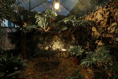 Bed & Breakfast Villa Das Rosas