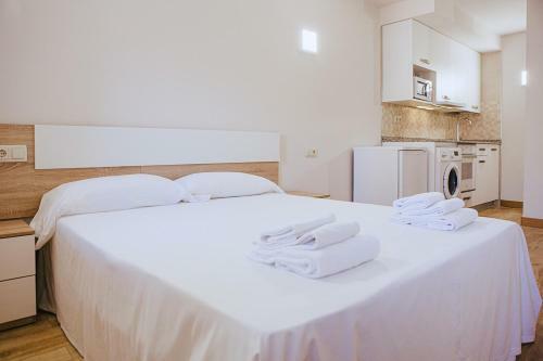 Apartamentos Ducay