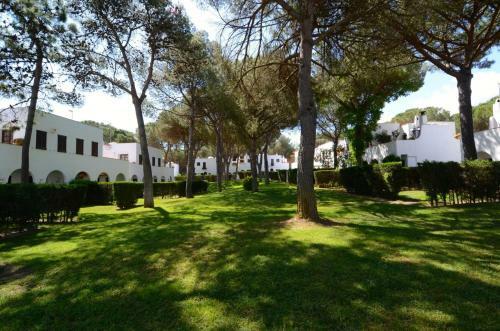 Piverd Del Golf 24