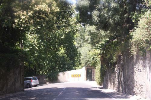 Hotel Sintra Jardim