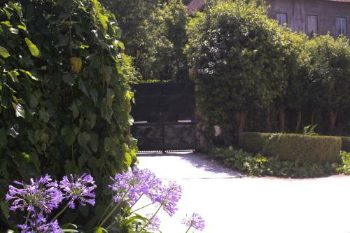 Hotel Sintra Jardim