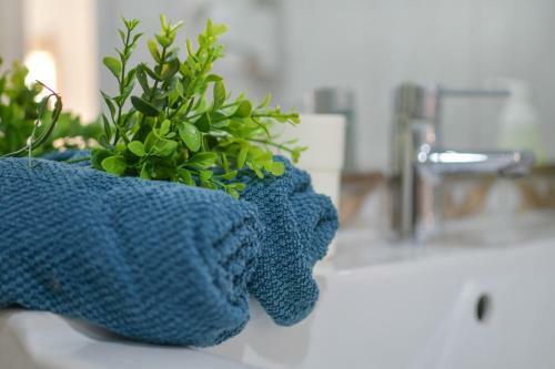 Apartamento Anaca