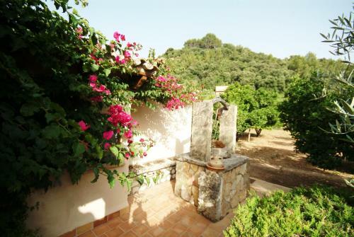 Villa Pont Rom� - El Camp Redo - de Pollen�a Con Piscina, Wifi, AC