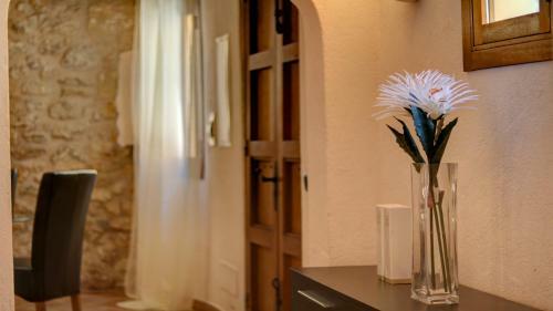 Casa Bosch