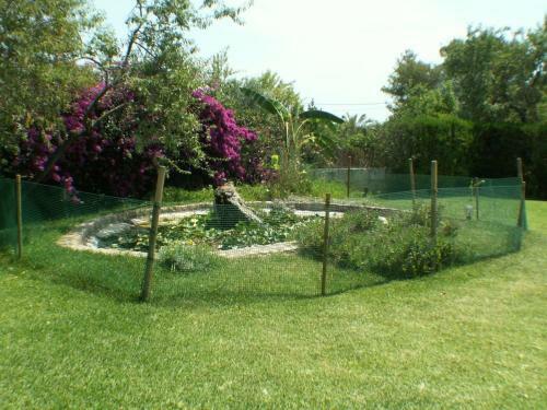 Gran Villa En Pollensa