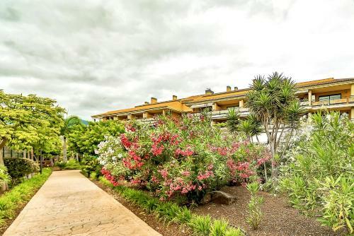 Apartamento Terrazas Del Teide