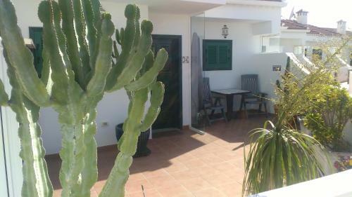 Apartamento Vista Violetas