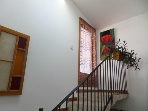 Agroturismo Cal Manyo