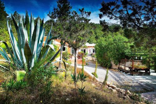Villa Back To Eden Ibiza