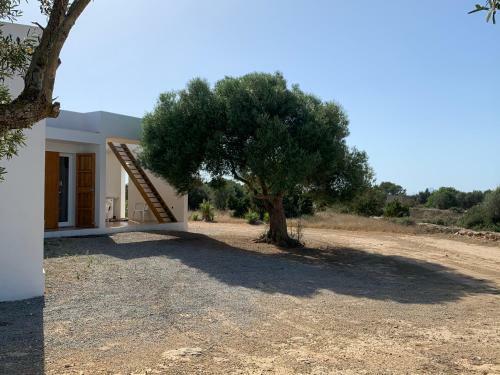 Casa Vedr�