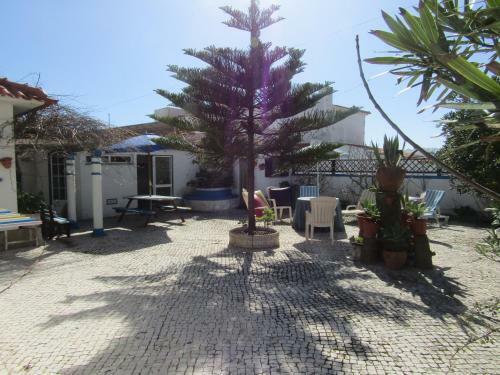 West Coast Beach Hostel