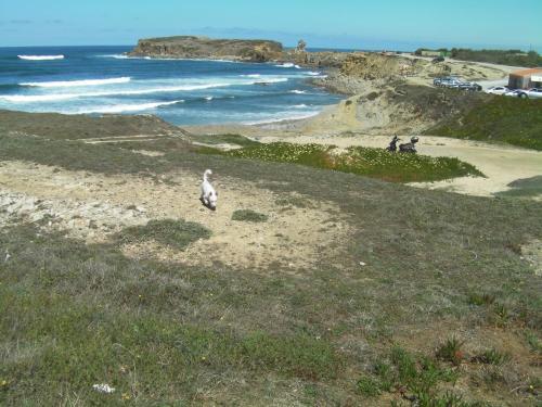Hostal Surf Peniche