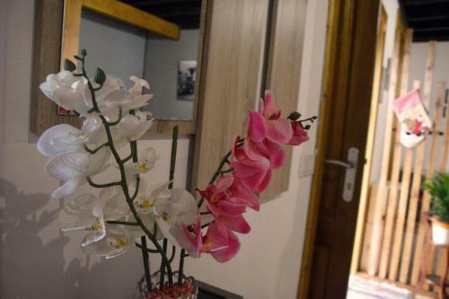 Apartamento Canarian House Antigua Escuela