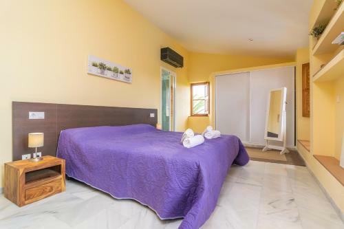Villa Finca Palmera