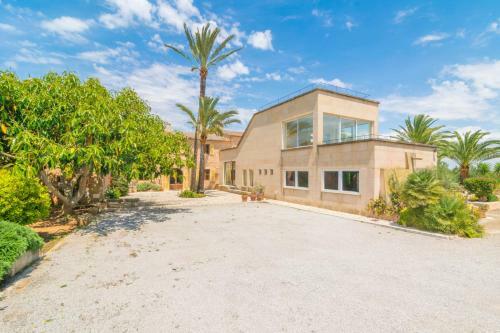 Villa Finca Palmera