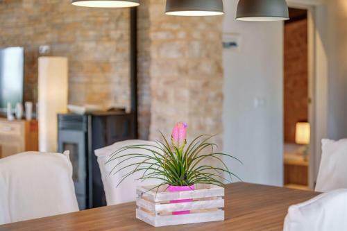 Villa Can Xesquet - Morell