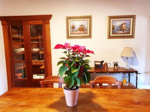 Finca Rural Art 9