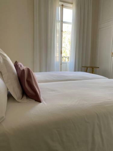 Apartamentos Paseo Col�n