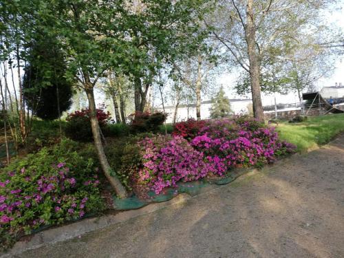Apartamento Sig�eiro Camino Ingl�s (English Way)