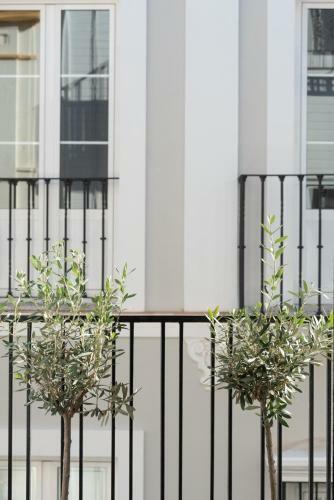 Apartamento Hommyhome San Lorenzo