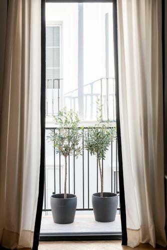 Apartamento Hommyhome San Lorenzo