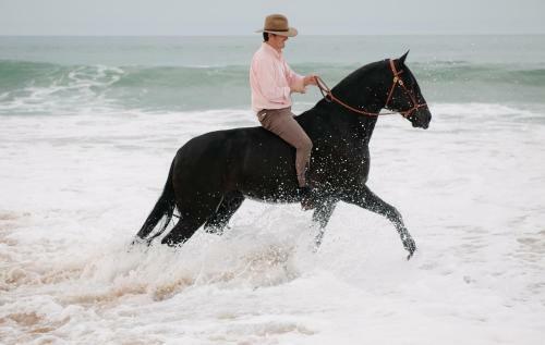 Agroturismo Quinta Do Rol