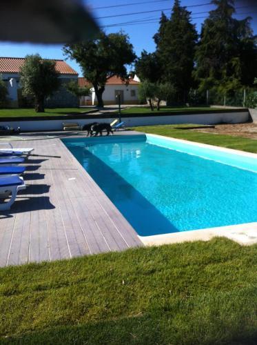 Agroturismo Casa Das Rendufas- Turismo Rural Com Figos
