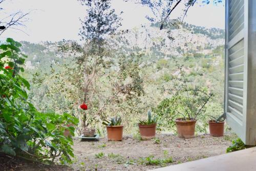 Villa Port Soller