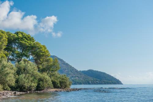 Port Nou Ca Na Cati