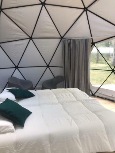 Glamping Ca�on Del Rio Lobos