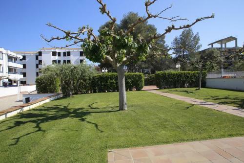 Apartamento At159 Torremunts