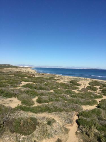 Apartament Orhidea