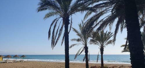 Apartamento Aut�ntico Playa