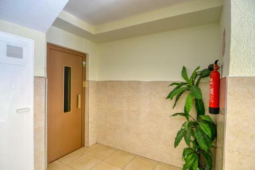 Espacious 4b Apartment In 2�row Of Cura Beach