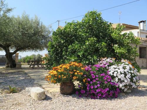 Agroturismo Casa El Ros II - Turistrat
