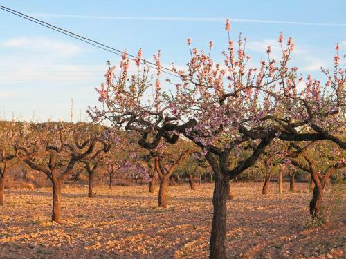 Agroturismo Casa El Ros II - Turistrat